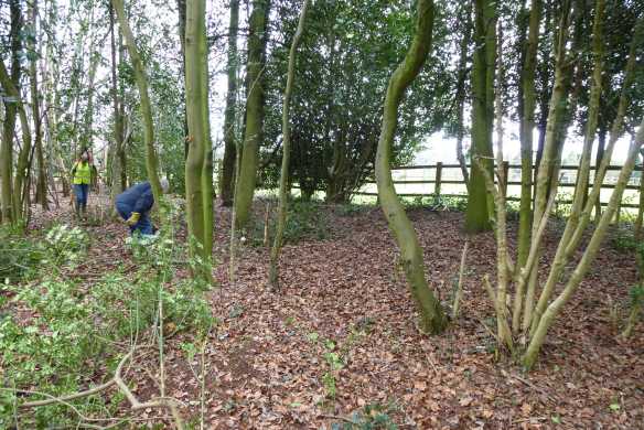 Holly clearance-8.jpg