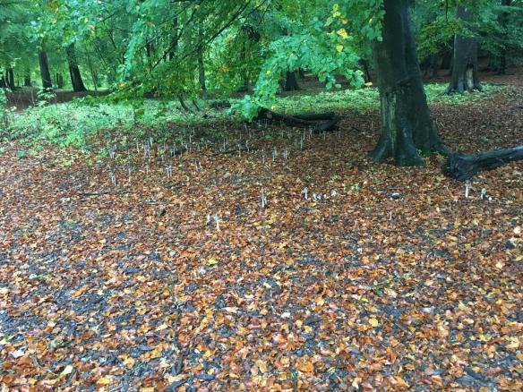 198879a1-2c48-4469-95d3-e608c0e6b1ec