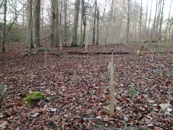 IMG_20181221_145748800