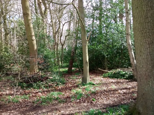 IMG_20190307_122404905