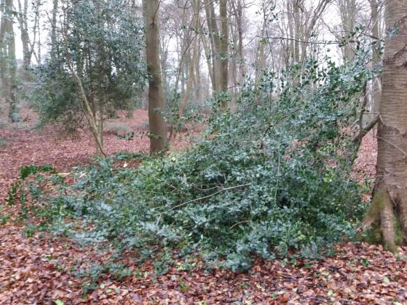 WhatsApp Image 2019-01-19 at 14.24.23