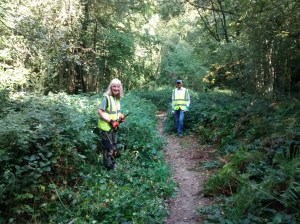 volunteers clearing bridleway